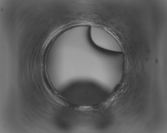 X0000067390055200603311309