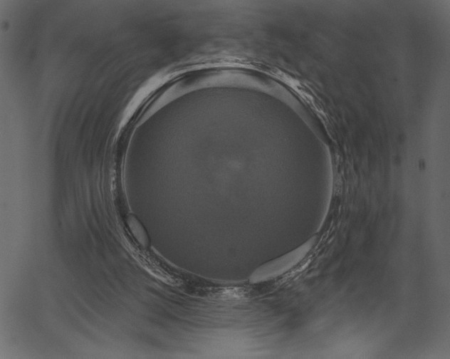 X0000067390056200603311309