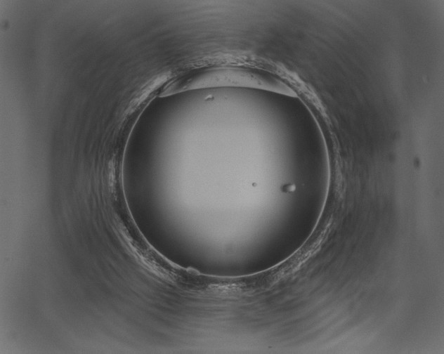 X0000067390057200603311309