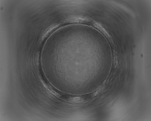 X0000067390058200603311309