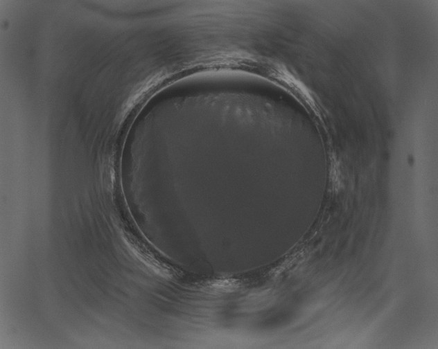 X0000067390059200603311309