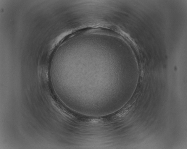 X0000067390060200603311309