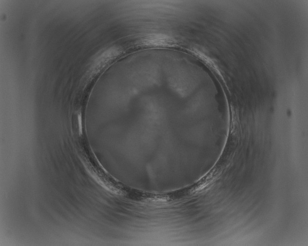 X0000067390061200603311309