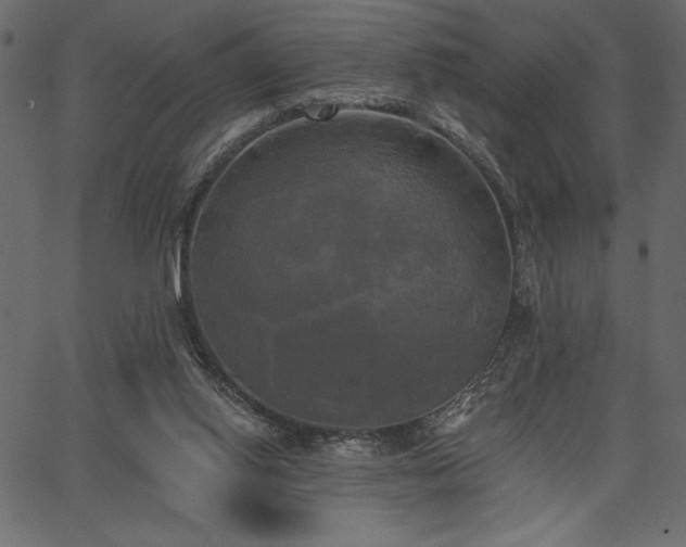 X0000067390062200603311309