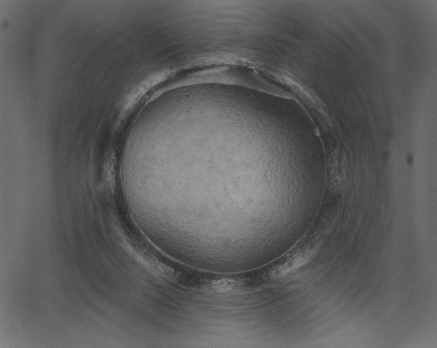 X0000067390064200603311309