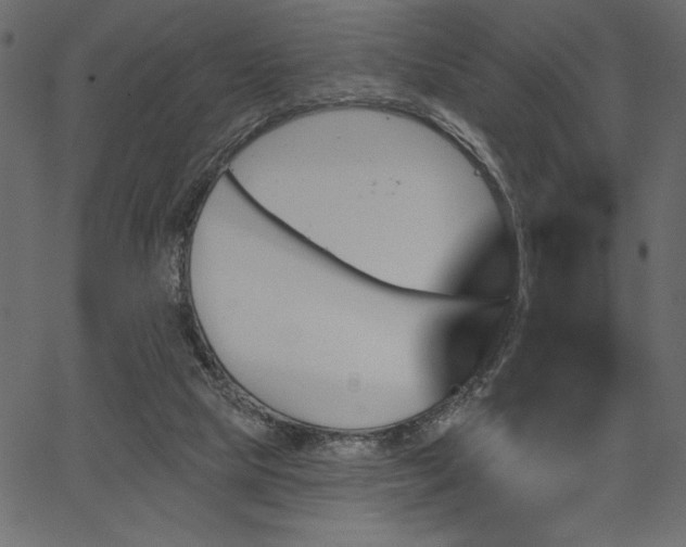 X0000067390065200603311309