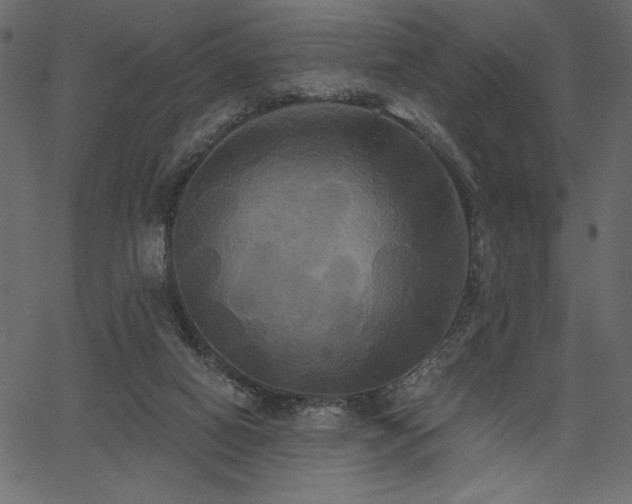 X0000067390066200603311309