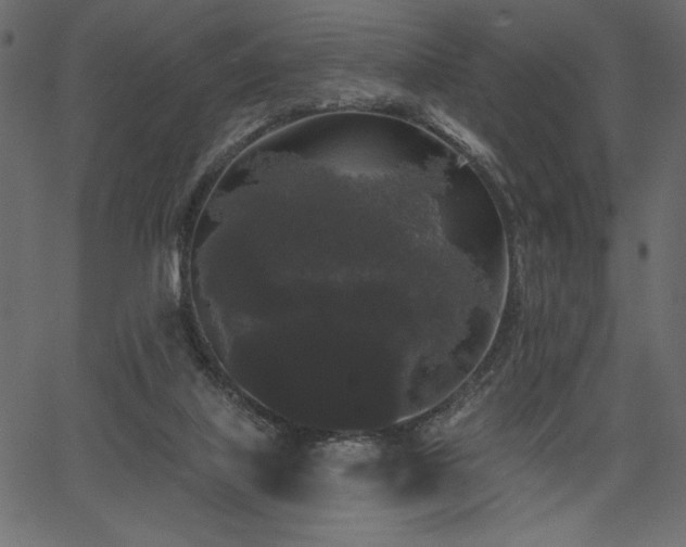 X0000067390067200603311309