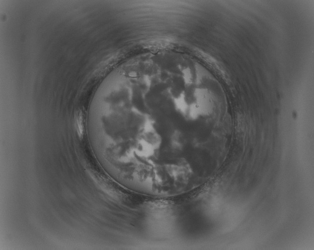 X0000067390069200603311309