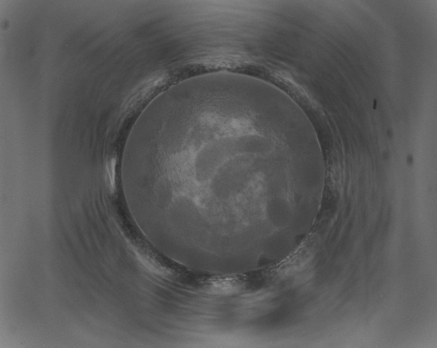 X0000067390070200603311309