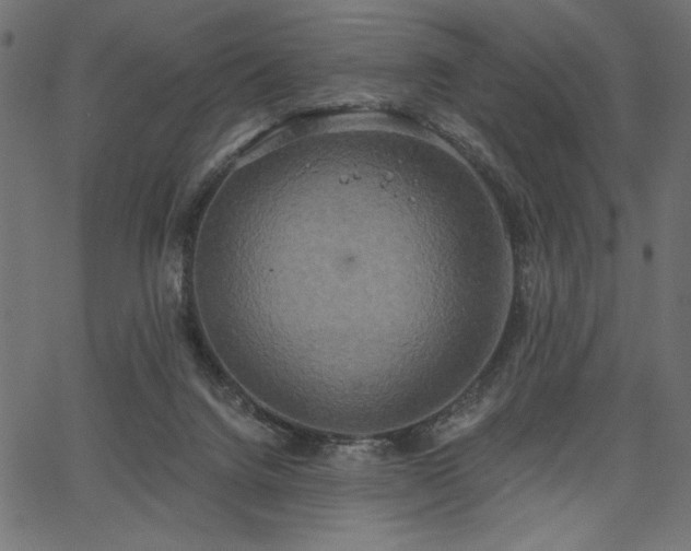 X0000067390072200603311309