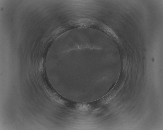 X0000067390073200603311309