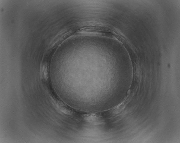 X0000067390074200603311309