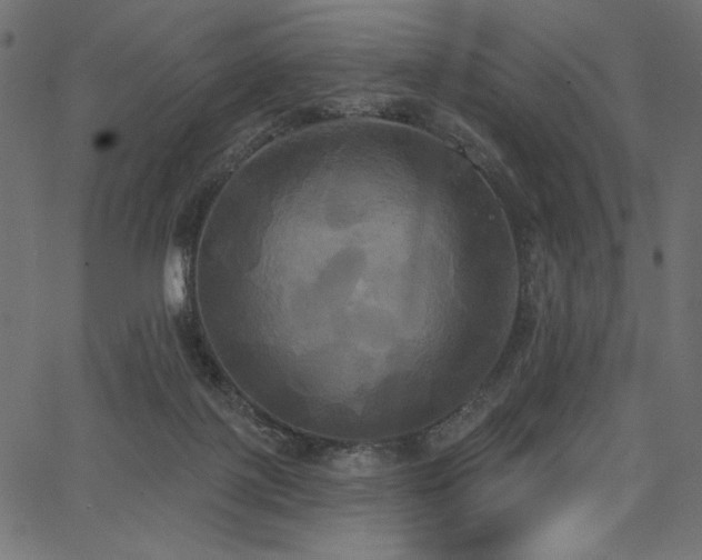 X0000067390075200603311309