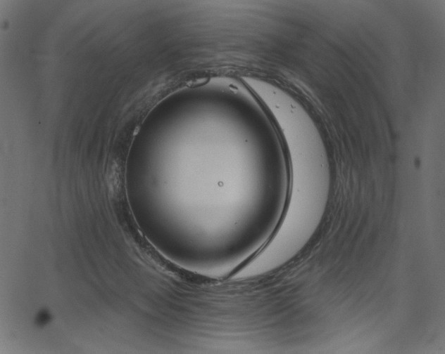 X0000067390077200603311309