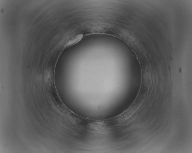 X0000067390079200603311309