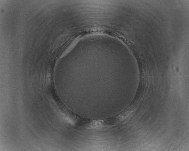 X0000067390080200603311309