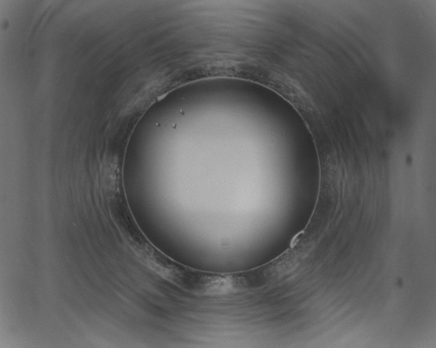 X0000067390083200603311309