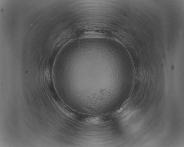 X0000067390086200603311310