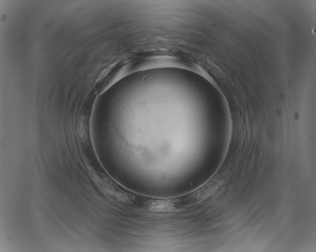 X0000067390088200603311310