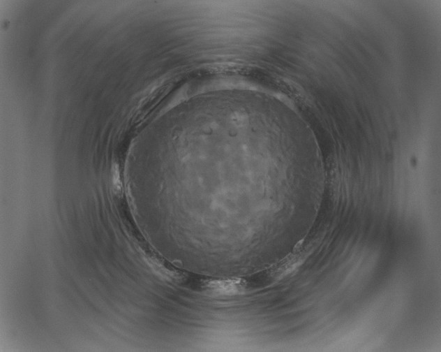 X0000067390089200603311310