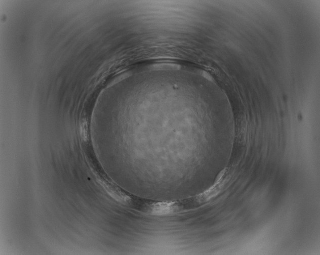 X0000067390090200603311310