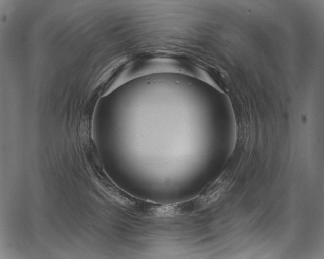 X0000067390092200603311310