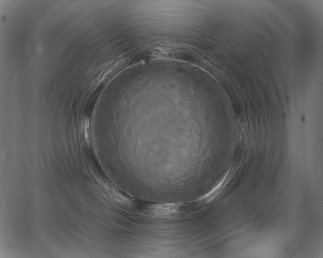 X0000067390094200603311310