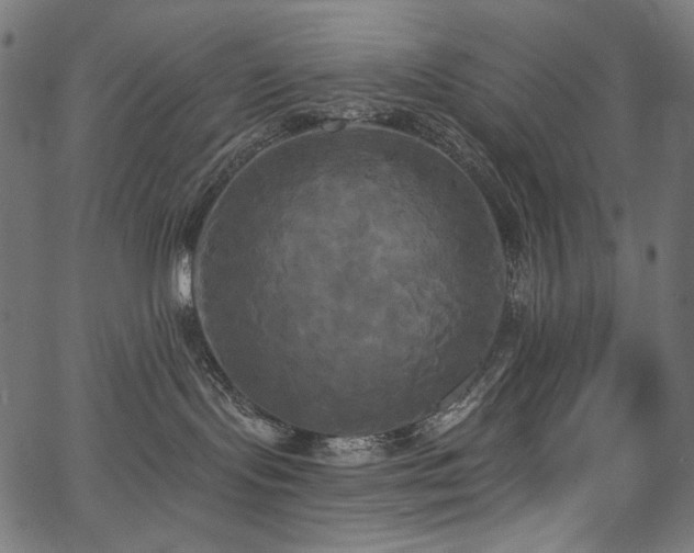 X0000067390095200603311310