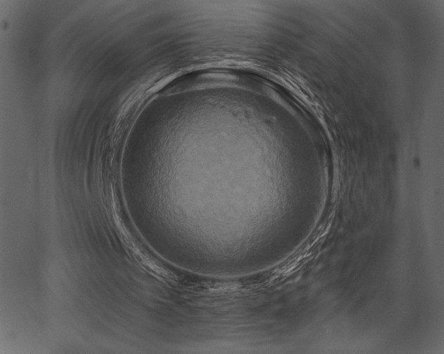 X0000067390097200603311309