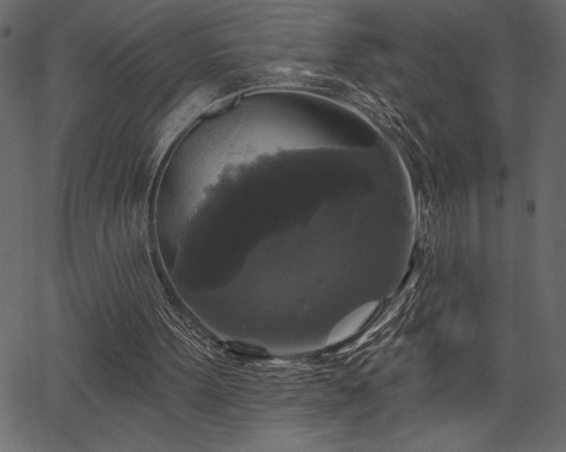 X0000067390099200603311309