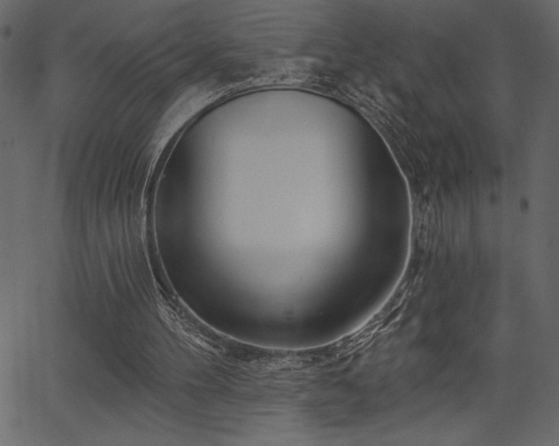 X0000067390100200603311309