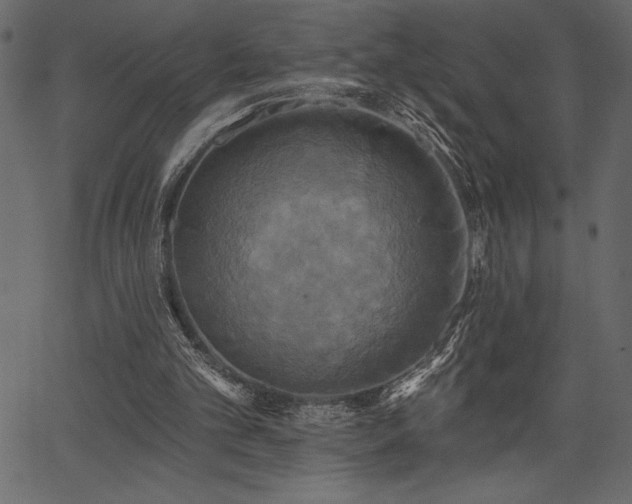 X0000067390101200603311309