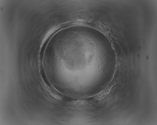 X0000067390102200603311309