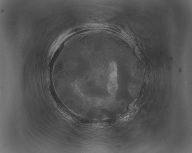 X0000067390103200603311309