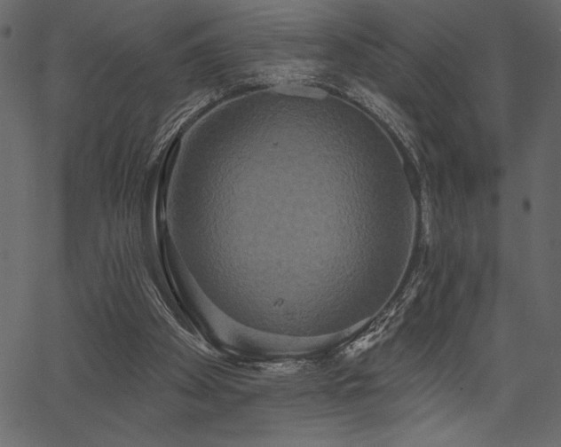 X0000067390105200603311309