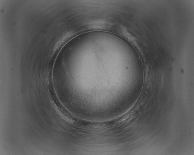 X0000067390106200603311309