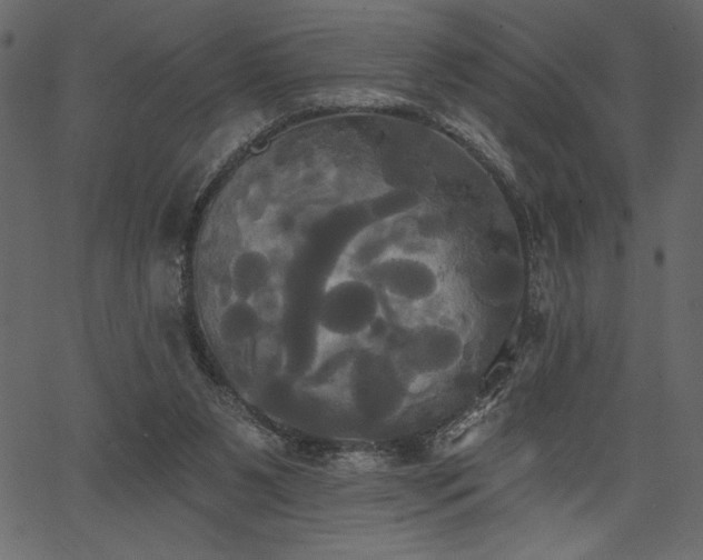 X0000067390111200603311309