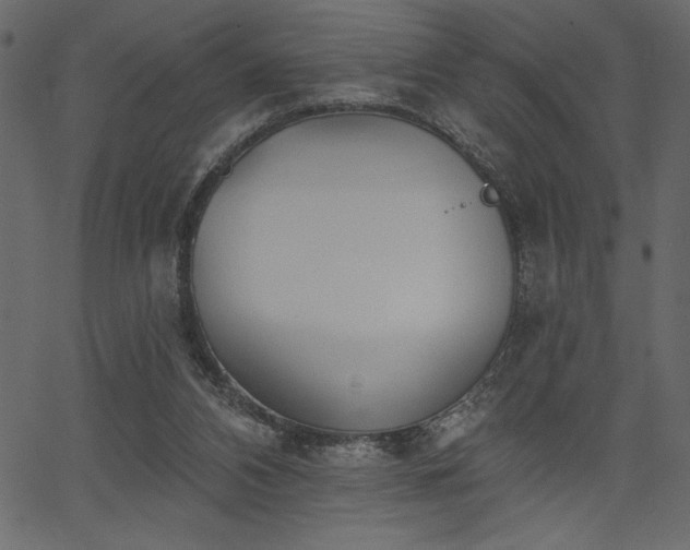 X0000067390112200603311309