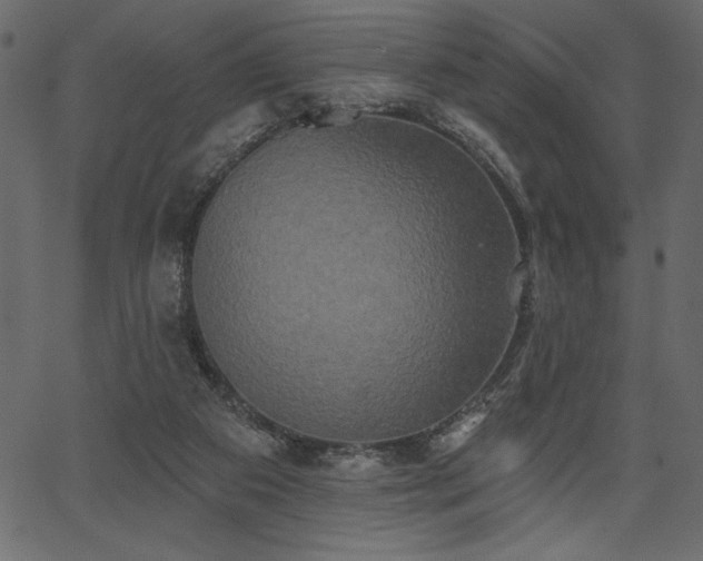 X0000067390113200603311309