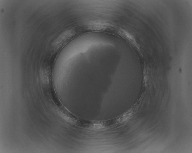 X0000067390114200603311309