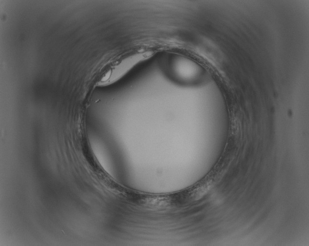 X0000067390117200603311309