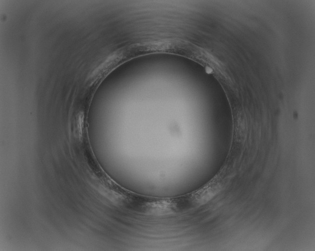 X0000067390118200603311309