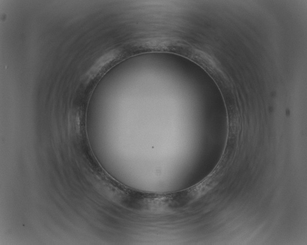 X0000067390120200603311309