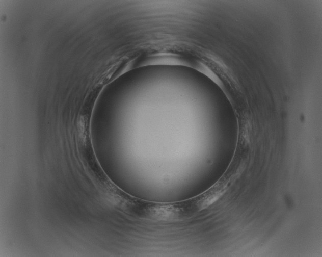 X0000067390121200603311309