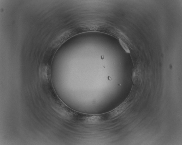 X0000067390122200603311309