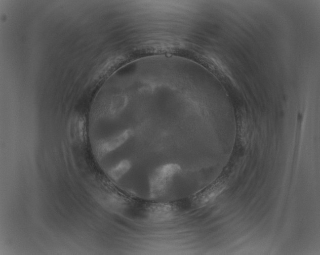 X0000067390123200603311309