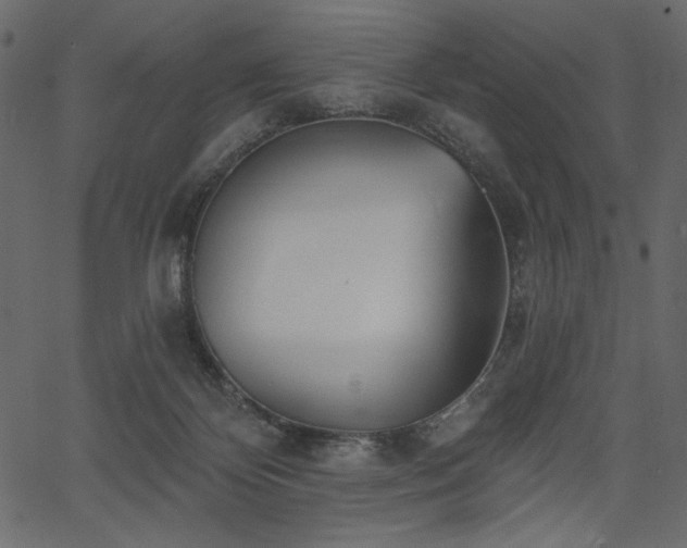 X0000067390124200603311308