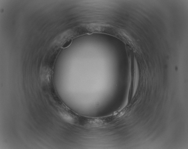 X0000067390125200603311308