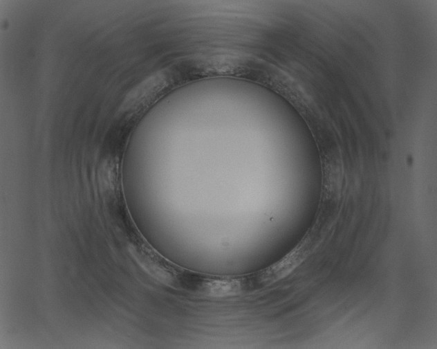 X0000067390126200603311308